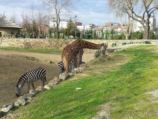 Bursa Zoo